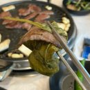 [합천군/삼가면] 합천삼가명품한우 🐂🥩｜ @뿌이뿌이