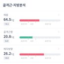 인천 송도 피티 전문 헬스장 스타크짐 PT 후기