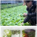 태전농장 이미지