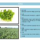 더샵짱 이미지