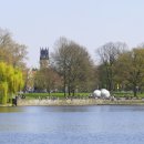 버드나무 이미지