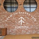 포레스트제이(ForestJ)