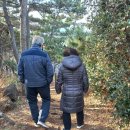 조이힐펜션 네이버블로그