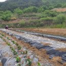 대근농장 이미지