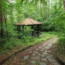 양지팬션 이미지