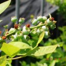 의구농장 이미지