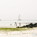 제주에서 손꼽히는 해수욕장 이미지
