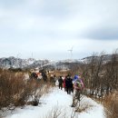 선자령: 선자령을두고하는말일게다. 한번도안가본사람은있어도한번가본사람은없을것이다(강원평창) 이미지