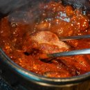 바다를 품은 돼지 이미지