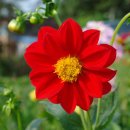 아름다운세상 이미지