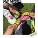 효테크 | 2026 화성 효마라톤 10k 참가 완주기록 후기