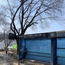 호텔정관루별관(투투별장,아뜰리에별장,문학인촌) | 남이섬 정관루 호텔, 아이랑 스위트룸(더블, 온돌방) 이용 후기
