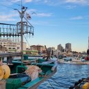 청호동 신수로 이미지