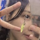 버팔로동물병원 이미지