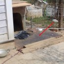 회암1통마을회관 이미지