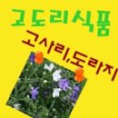 어물농장 네이버블로그