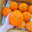 부자농장 | [제주부자네] 설 선물 추천, 새콤달콤 고당도 제주레드향 3kg 특대과 주문 후기
