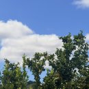 전곡우체국 | [호주 워홀] D+581~587 솔직 내돈내산 보따리 익스프레스 이용 후기