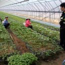 진악지구대 이미지