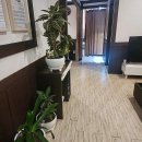 한송 | 일산 마사지 24년 전통 한송스포츠마사지 장항동 후기 진짜 대박이었어요