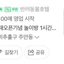 리틀댕댕 이미지