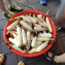 신흥레져타운 이미지