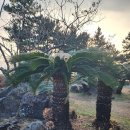 대포해안 이미지