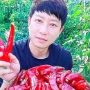 할배장터