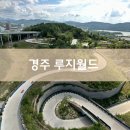 청명오토바이 | 경주루지월드, 경주 아이랑 갈만한곳