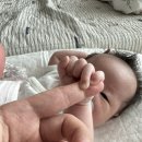 빈이맘마 이미지