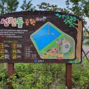 선천들공원 네이버블로그