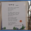 231차 영동 천태산 (시산제산행) 이미지