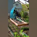 DIY greenhouse on your garden! ❄️ 이미지