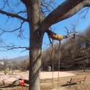 덕구복구