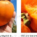 황금농원 이미지