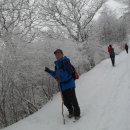 대설(大雪) 주의보. 이미지