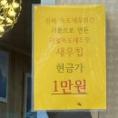 독도수산 | 울릉도 ‘천금수산’ 후기 (독도새우 먹은 날!) 🦐🦐🦐