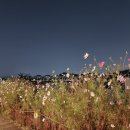 남동탄모터스 이미지