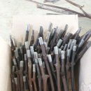 호동농장 이미지