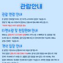 가족뮤지컬<꼬마버스 타요> 이미지