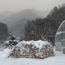 귀촌 후 왐코리아 3120M 벽난로 설치 솔직 후기