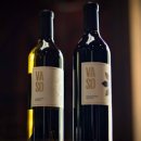 다나에스 이미지