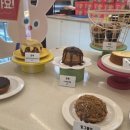 하이도나 이미지