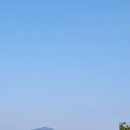 여주-0801 네이버블로그