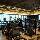 G1 PT SMART GYM 이미지