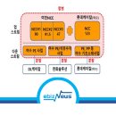 디엘엔씨