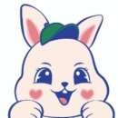 바니스픽 이미지