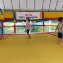 로뎀스타트 네이버블로그