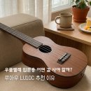 우쿨렐레(중,고급) | 우쿨렐레 입문용 어떤 걸 사야 할까? 루아우 LU10C 추천 이유