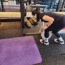 웰니스피티스튜디오 이미지